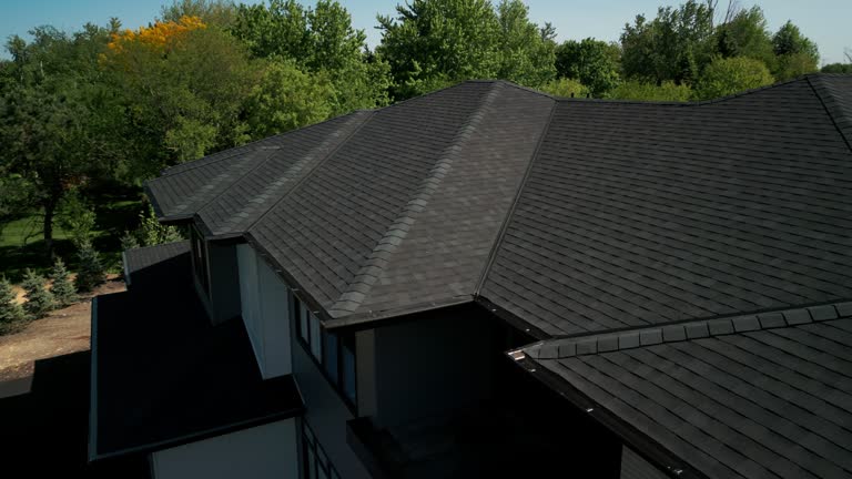 Best Chimney Flashing Repair  in Sandia Heights, NM
