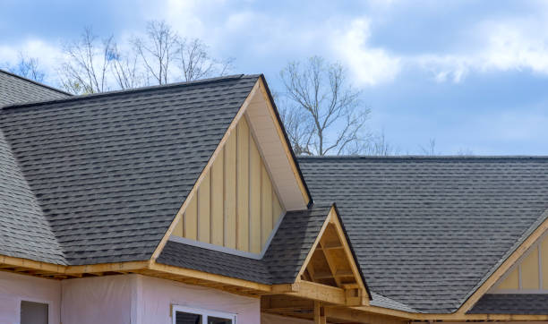 Best Roof Moss and Algae Removal  in Sandia Heights, NM